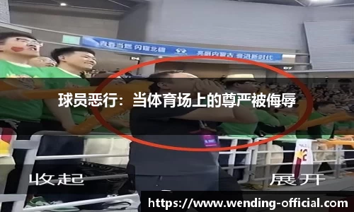 问鼎娱乐
